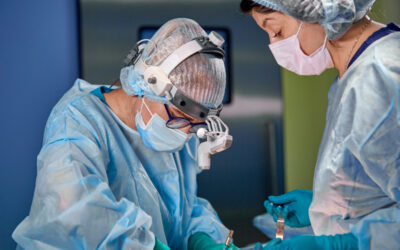 BEST PLASTIC SURGEONS – TRENDS IN PLASTIC SURGERY